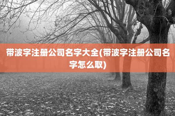 带波字注册公司名字大全(带波字注册公司名字怎么取)
