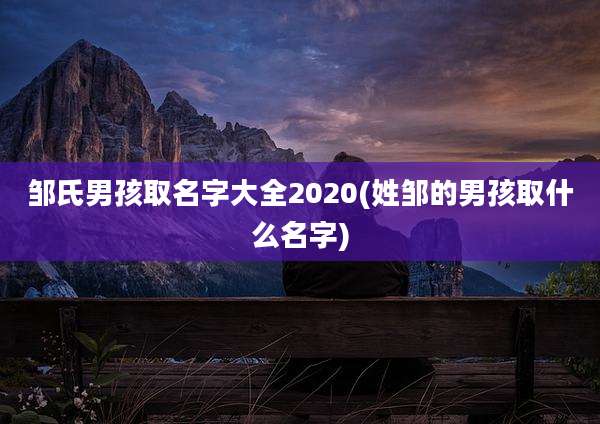 邹氏男孩取名字大全2020(姓邹的男孩取什么名字)