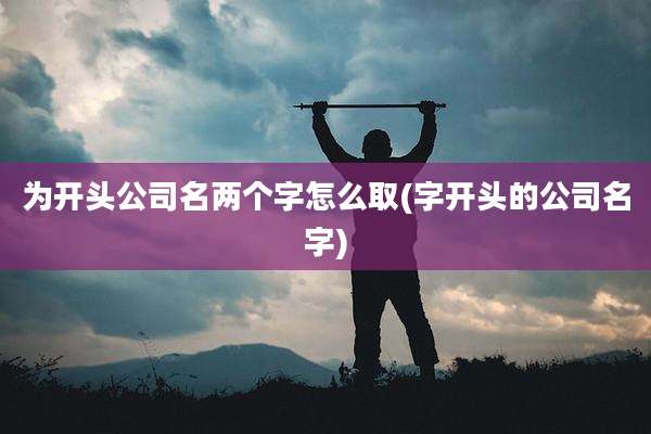 为开头公司名两个字怎么取(字开头的公司名字)