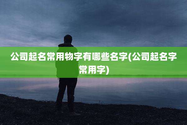 公司起名常用物字有哪些名字(公司起名字常用字)