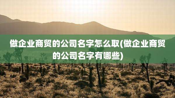 做企业商贸的公司名字怎么取(做企业商贸的公司名字有哪些)