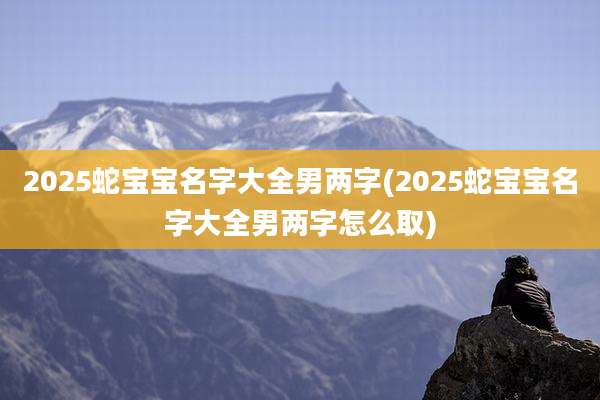 2025蛇宝宝名字大全男两字(2025蛇宝宝名字大全男两字怎么取)