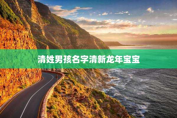 清姓男孩名字清新龙年宝宝