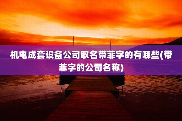 机电成套设备公司取名带菲字的有哪些(带菲字的公司名称)