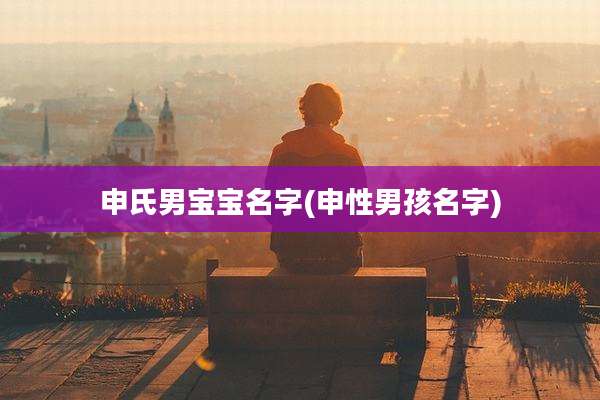 申氏男宝宝名字(申性男孩名字)