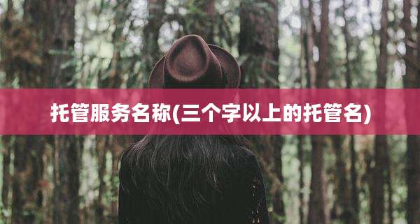托管服务名称(三个字以上的托管名)