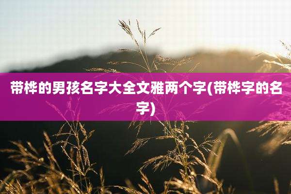 带桦的男孩名字大全文雅两个字(带桦字的名字)