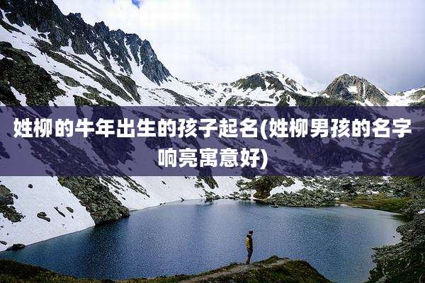 姓柳的牛年出生的孩子起名(姓柳男孩的名字响亮寓意好)