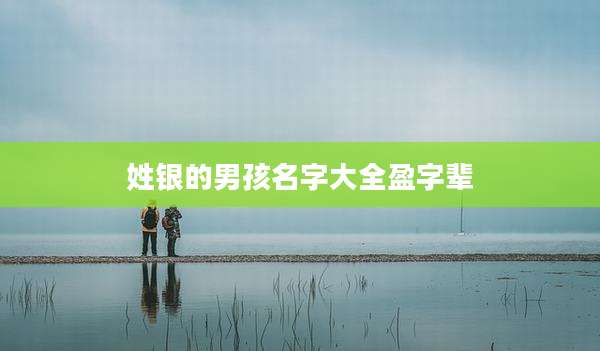 姓银的男孩名字大全盈字辈