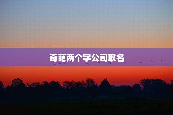 奇葩两个字公司取名