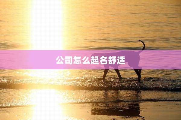 公司怎么起名舒适