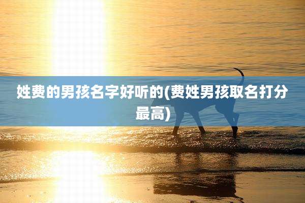 姓费的男孩名字好听的(费姓男孩取名打分最高)