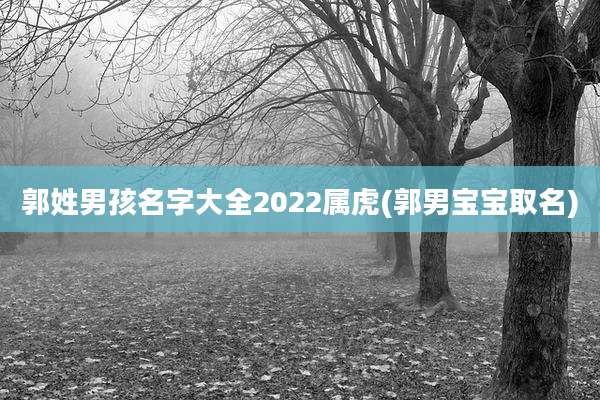 郭姓男孩名字大全2022属虎(郭男宝宝取名)