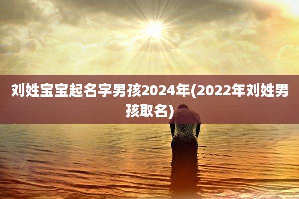 刘姓宝宝起名字男孩2024年(2022年刘姓男孩取名)