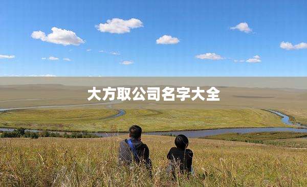 大方取公司名字大全