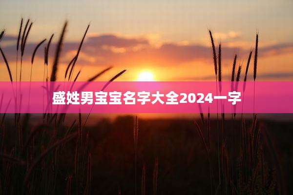 盛姓男宝宝名字大全2024一字