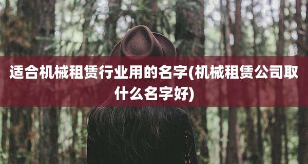 适合机械租赁行业用的名字(机械租赁公司取什么名字好)