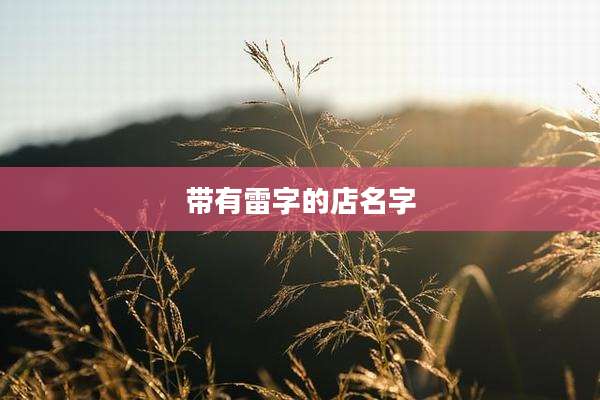 带有雷字的店名字
