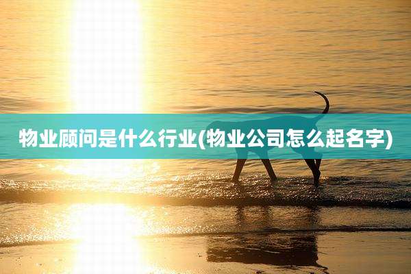 物业顾问是什么行业(物业公司怎么起名字)
