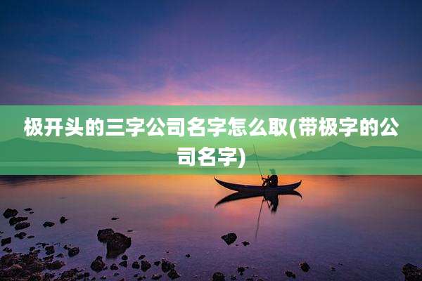 极开头的三字公司名字怎么取(带极字的公司名字)