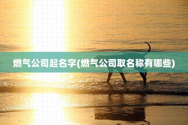 燃气公司起名字(燃气公司取名称有哪些)