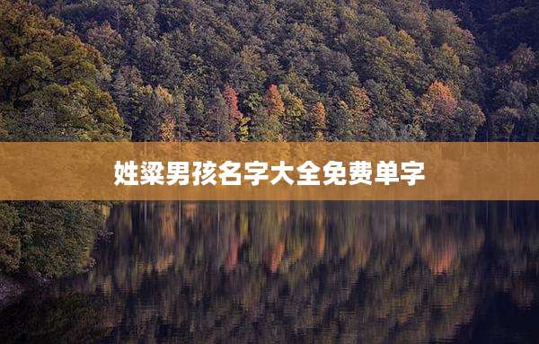 姓粱男孩名字大全免费单字