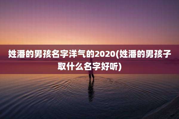 姓潘的男孩名字洋气的2020(姓潘的男孩子取什么名字好听)
