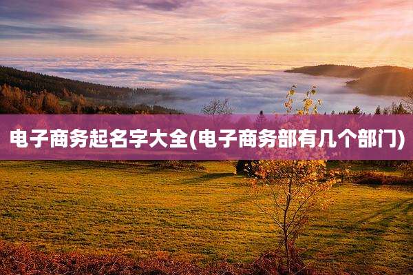电子商务起名字大全(电子商务部有几个部门)