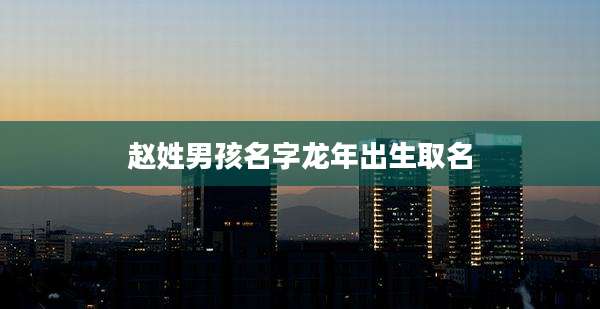 赵姓男孩名字龙年出生取名