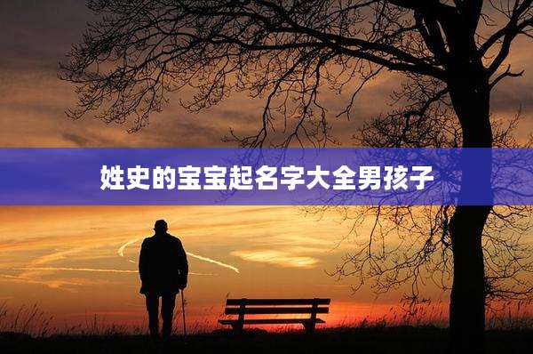 姓史的宝宝起名字大全男孩子
