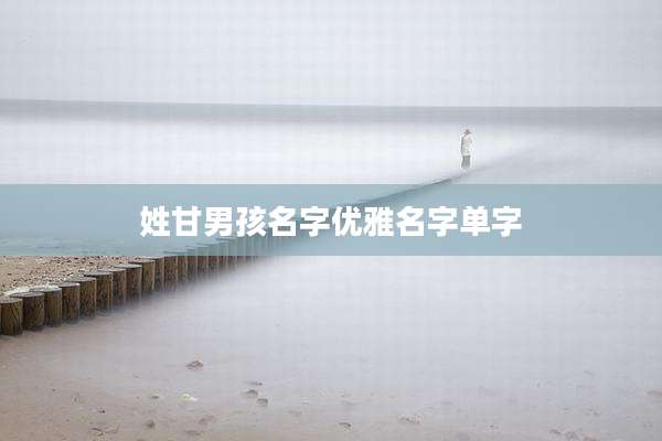 姓甘男孩名字优雅名字单字