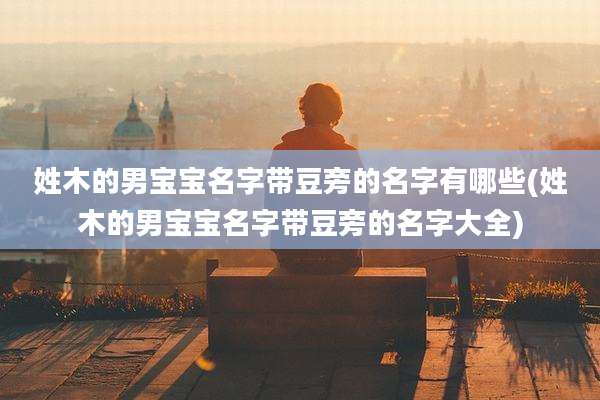 姓木的男宝宝名字带豆旁的名字有哪些(姓木的男宝宝名字带豆旁的名字大全)