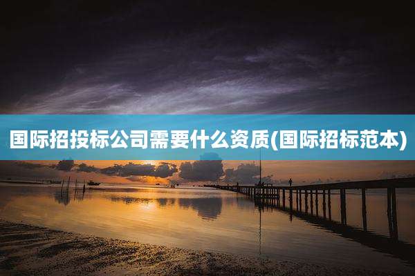 国际招投标公司需要什么资质(国际招标范本)
