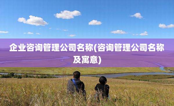 企业咨询管理公司名称(咨询管理公司名称及寓意)