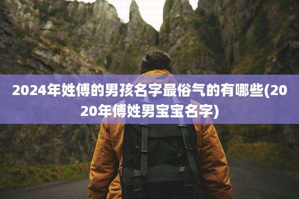 2024年姓傅的男孩名字最俗气的有哪些(2020年傅姓男宝宝名字)