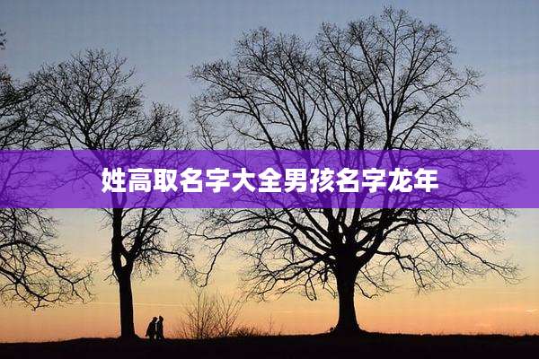 姓高取名字大全男孩名字龙年