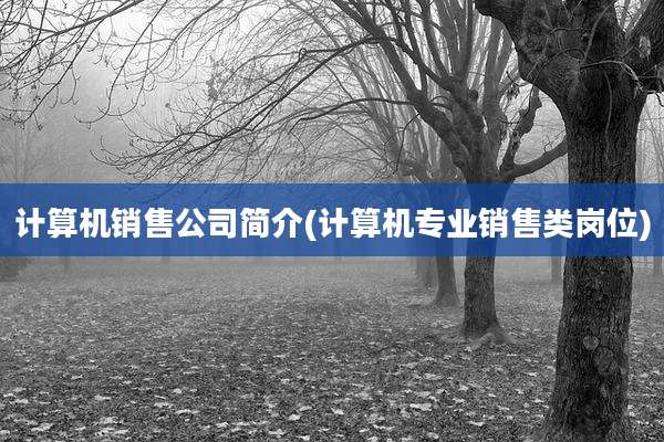 计算机销售公司简介(计算机专业销售类岗位)