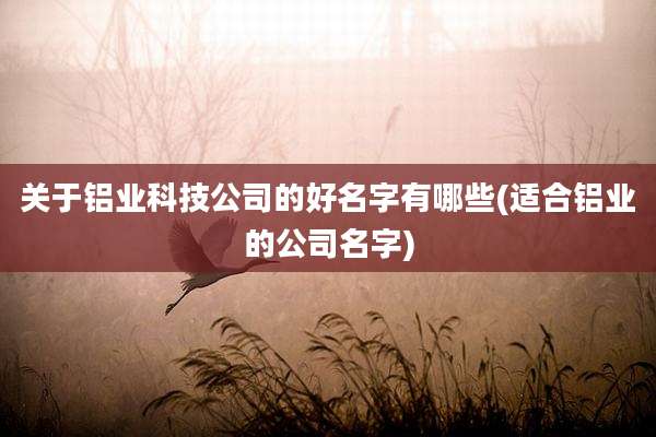 关于铝业科技公司的好名字有哪些(适合铝业的公司名字)