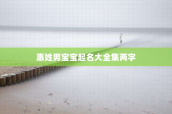 惠姓男宝宝起名大全集两字