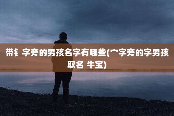带钅字旁的男孩名字有哪些(宀字旁的字男孩取名 牛宝)