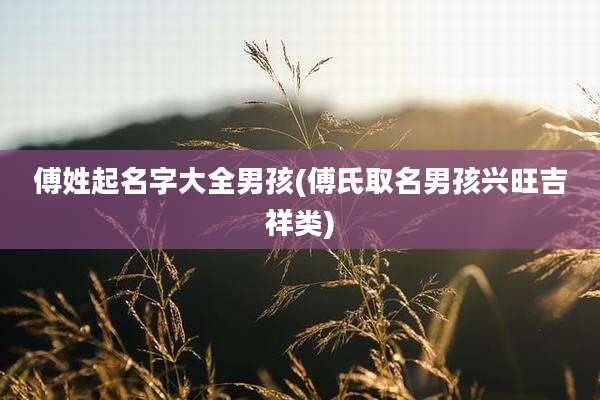 傅姓起名字大全男孩(傅氏取名男孩兴旺吉祥类)