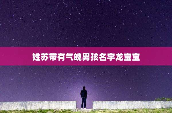 姓苏带有气魄男孩名字龙宝宝
