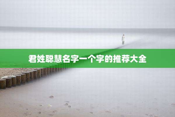 君姓聪慧名字一个字的推荐大全
