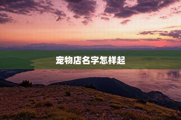 宠物店名字怎样起