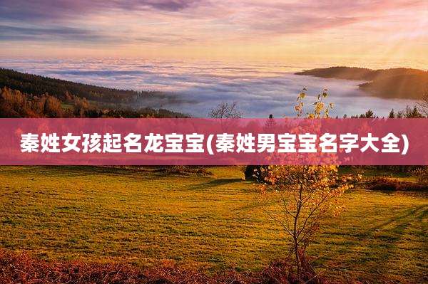 秦姓女孩起名龙宝宝(秦姓男宝宝名字大全)