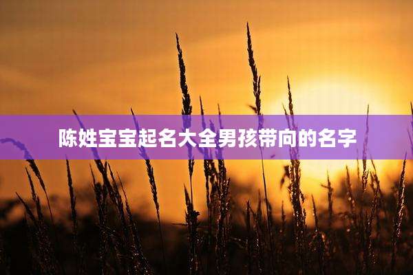 陈姓宝宝起名大全男孩带向的名字