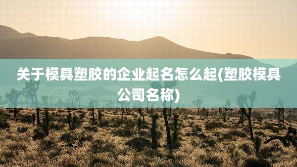 关于模具塑胶的企业起名怎么起(塑胶模具公司名称)