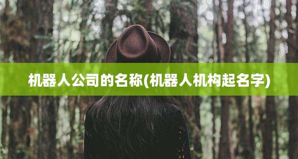 机器人公司的名称(机器人机构起名字)