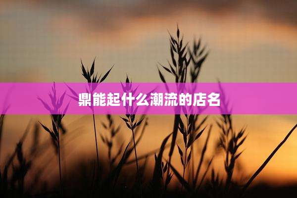 鼎能起什么潮流的店名