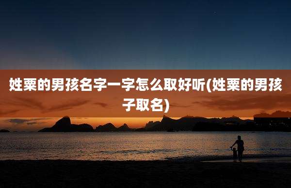 姓粟的男孩名字一字怎么取好听(姓粟的男孩子取名)